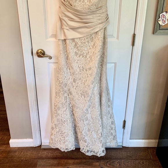 Champagne Lace Dress - Picture 8 of 8